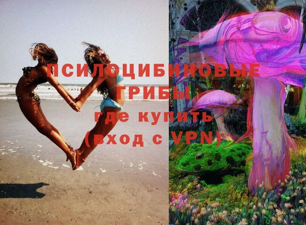 хмурый Бронницы