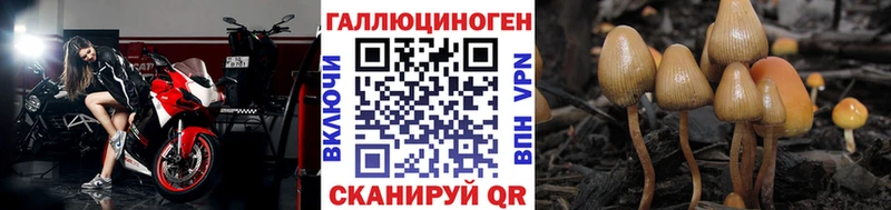 mega как зайти  Одинцово  Галлюциногенные грибы GOLDEN TEACHER 