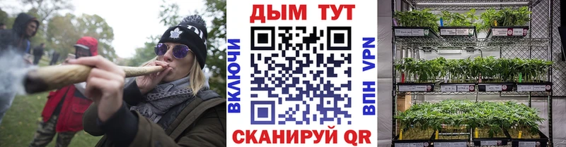 МАРИХУАНА сатива  Одинцово 